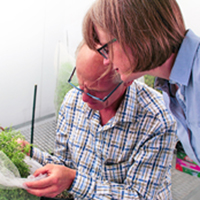 Crop Development Centre researchers Bert Vandenberg and Kirstin Bett examine a lentil plant in the phytotron growth chambers at the University of Saskatchewan.